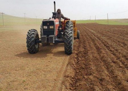 ۱۱هزار هکتار زمین در اشنویه به کشت گندم پاییزه اختصاص یافت