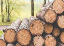 کشف بیش از ۲۳۷ تن چوب قاچاق در آذربایجان غربی