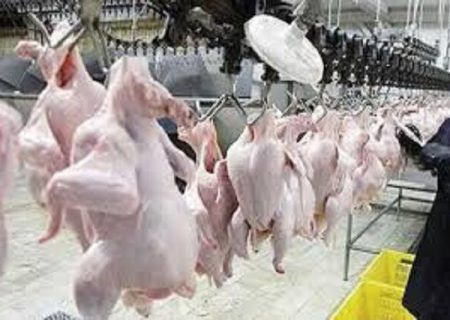 آذربایجان غربی قطب صادرات گوشت مرغ در کشور است