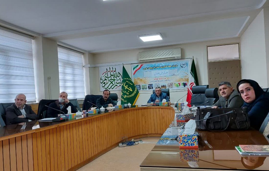 بیش از یک میلیون و 500 هزار تن محصولات باغی در آذربایجان غربی تولید شد / حذف و جایگزینی باغات درجه 3