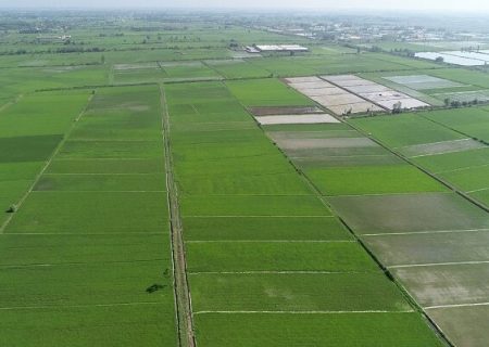 بیش از ۱۴ هزار هکتار از اراضی و باغات آذربایجان غربی بیمه شدند