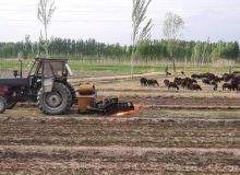 مصرف بیش از ۹۲ میلیون لیتر نفتگاز در بخش کشاورزی منطقه ارومیه