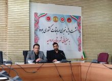 فعالیت ۹۰ باشگاه مجوز دار در حوزه ورزش رزمی در آذربایجان غربی