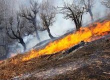 آتش‌سوزی در جنگل‌های سردشت