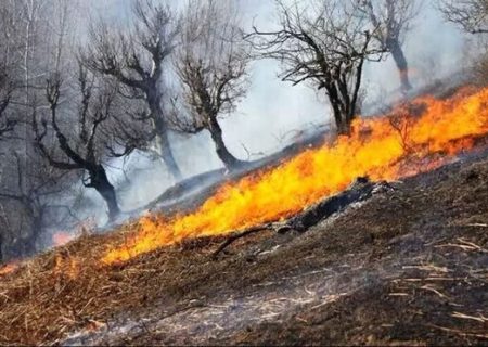 آتش‌سوزی در جنگل‌های سردشت