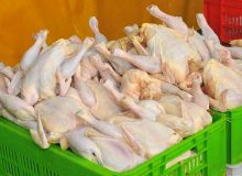 عرضه گوشت مرغ ۲۷ درصد بیشتر شد