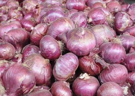 عوارض صادراتی پیاز مجددا کاهشی شد