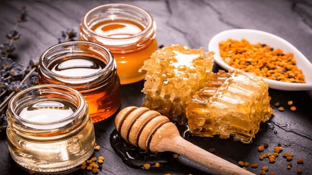 تولید بیش از ۲۲ درصد از عسل کشور در آذربایجان‌غربی