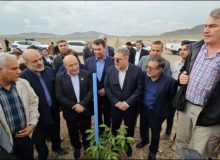 وزیر کشور از بزرگترین باغ گردو و پسته خاورمیانه در منطقه آزاد ماکو بازدید کرد