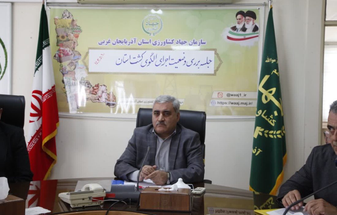 بیش از ۸۵ درصد اراضی زراعی زیر کشت سبزی و صیفی در آذربایجان غربی با نوار تیپ آبیاری می شود