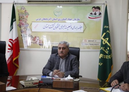 بیش از ۸۵ درصد اراضی زراعی زیر کشت سبزی و صیفی در آذربایجان غربی با نوار تیپ آبیاری می شود