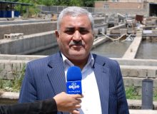 ۲۹ کارخانه خوراک دام و طیور و آبزیان در آذربایجان غربی فعال است