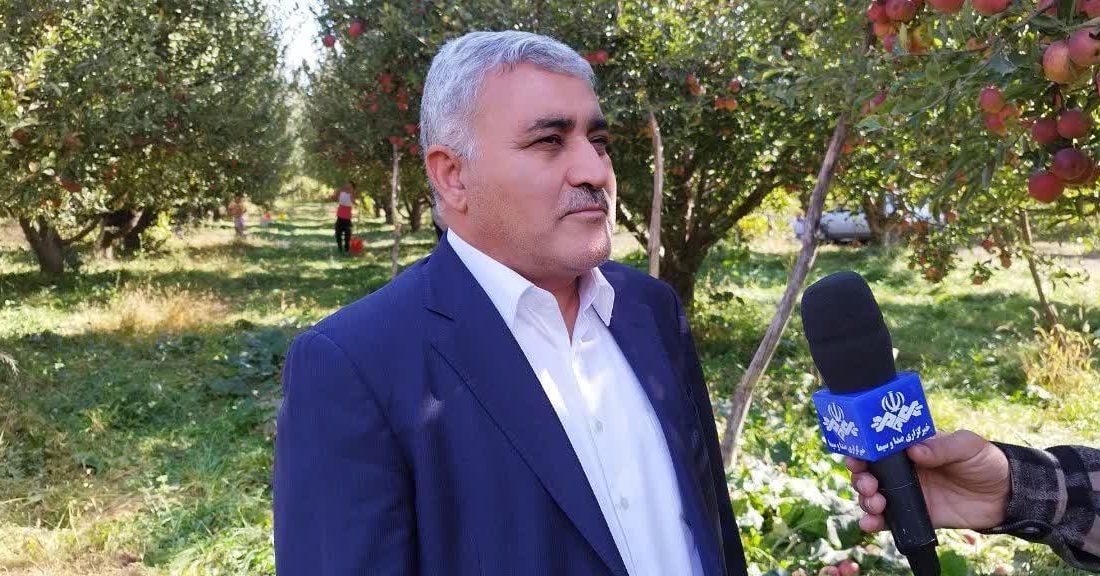 اشتغال بیش از ۶۵ هزار بهره بردار در باغات سیب آذربایجان غربی / پیش بینی برداشت ۱.۲ میلیون تن سیب از باغات استان