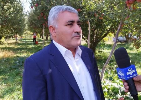 اشتغال بیش از ۶۵ هزار بهره بردار در باغات سیب آذربایجان غربی / پیش بینی برداشت ۱.۲ میلیون تن سیب از باغات استان