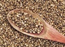 ضبط 50 تن دانه خام گیاه شاهدانه