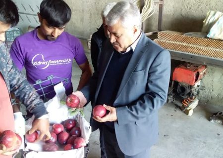 بازدید میدانی رئیس سازمان جهادکشاورزی آذربایجان‌غربی از چند واحد تولیدی و وضعیت ذخیره سازی میوه شب عید تنظیم بازاری در شهرستان ارومیه