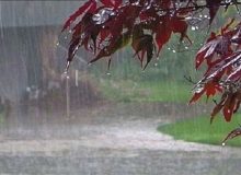 بارش‌های رگباری آذربایجان‌غربی را فرا می‌گیرد