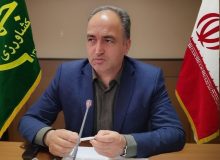 آذربایجان غربی پیشتاز طرح جهش تولید در دیم‌زارها با مشارکت بیش از ۴۳ هزار بهره بردار