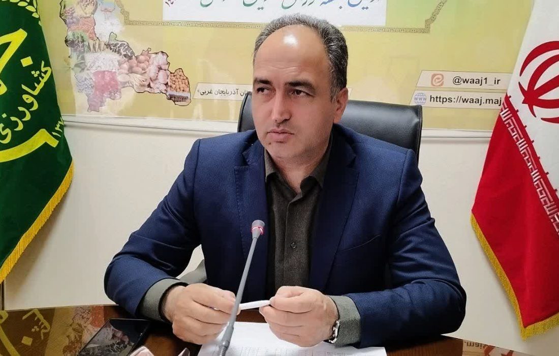 آغاز فصل خرید تضمینی غلات، فرصتی برای تحقق شعار سال