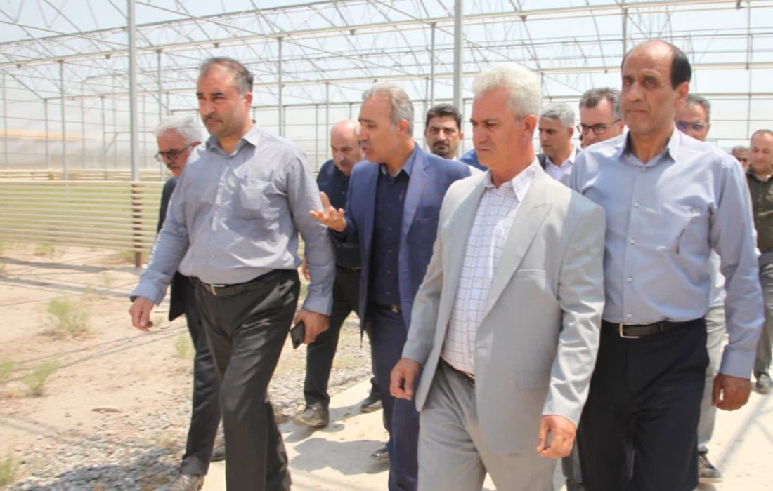 بازدید رییس سازمان جهاد کشاورزی آذربایجان‌غربی از شهرک کشاورزی مهلذان یک شهرستان خوی