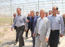 بازدید رییس سازمان جهاد کشاورزی آذربایجان‌غربی از شهرک کشاورزی مهلذان یک شهرستان خوی