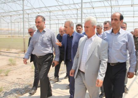 بازدید رییس سازمان جهاد کشاورزی آذربایجان‌غربی از شهرک کشاورزی مهلذان یک شهرستان خوی