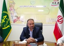 آغاز برداشت گوجه فرنگی از مزارع آذربایجان غربی