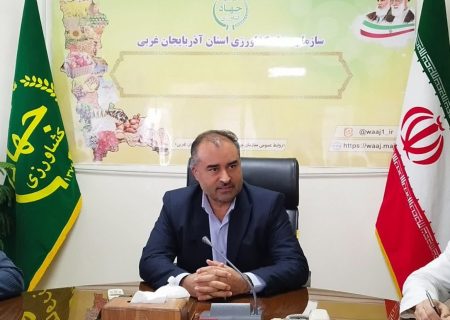 آغاز برداشت گوجه فرنگی از مزارع آذربایجان غربی