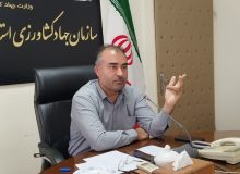 نظام مهندسی بازوی توانمند جهاد کشاورزی است