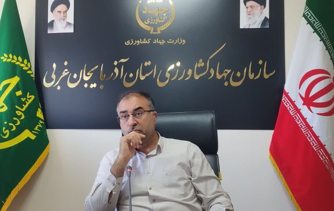 آذربایجان‌غربی، تأمین‌کننده ۳۵ درصد چغندرقند کشور