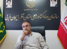 آذربایجان‌غربی، تأمین‌کننده ۳۵ درصد چغندرقند کشور