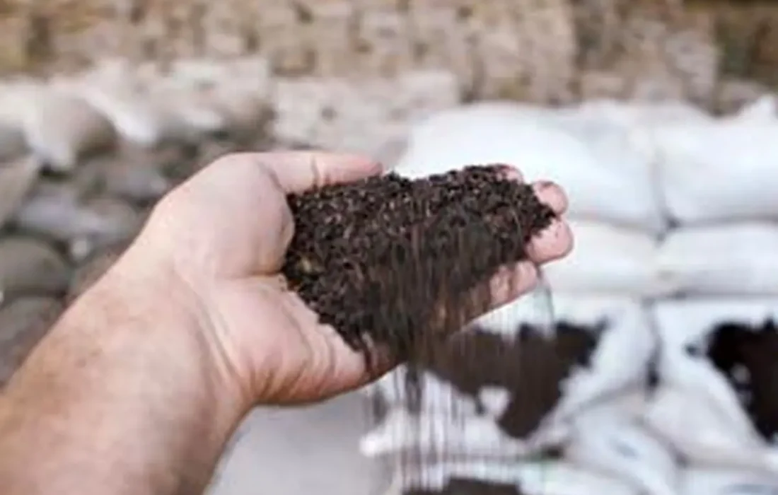 مدیرکل تعزیرات حکومتی آذربایجان غربی از محکومیت 2 میلیارد و 252 میلیون ریال جزای نقدی برای نگهداری چای قاچاق در ارومیه خبر داد.