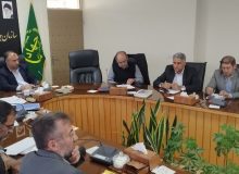 جهاد کشاورزی مدافع حقوق تولیدکنندگان و مصرف‌کنندگان است