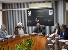 بیش از ۳۱ هزار رأس دام سبک تحت پوشش طرح ملی افزایش تولید قرار گرفت