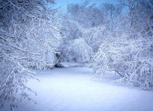 رشد ۷۷ درصدی بارش‌ها در آذربایجان غربی