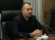 آذربایجان‌غربی قطب تولید گوشت قرمز کشور است / ارسال بیش از ۶۳۰ هزار رأس دام به استان‌های دیگر