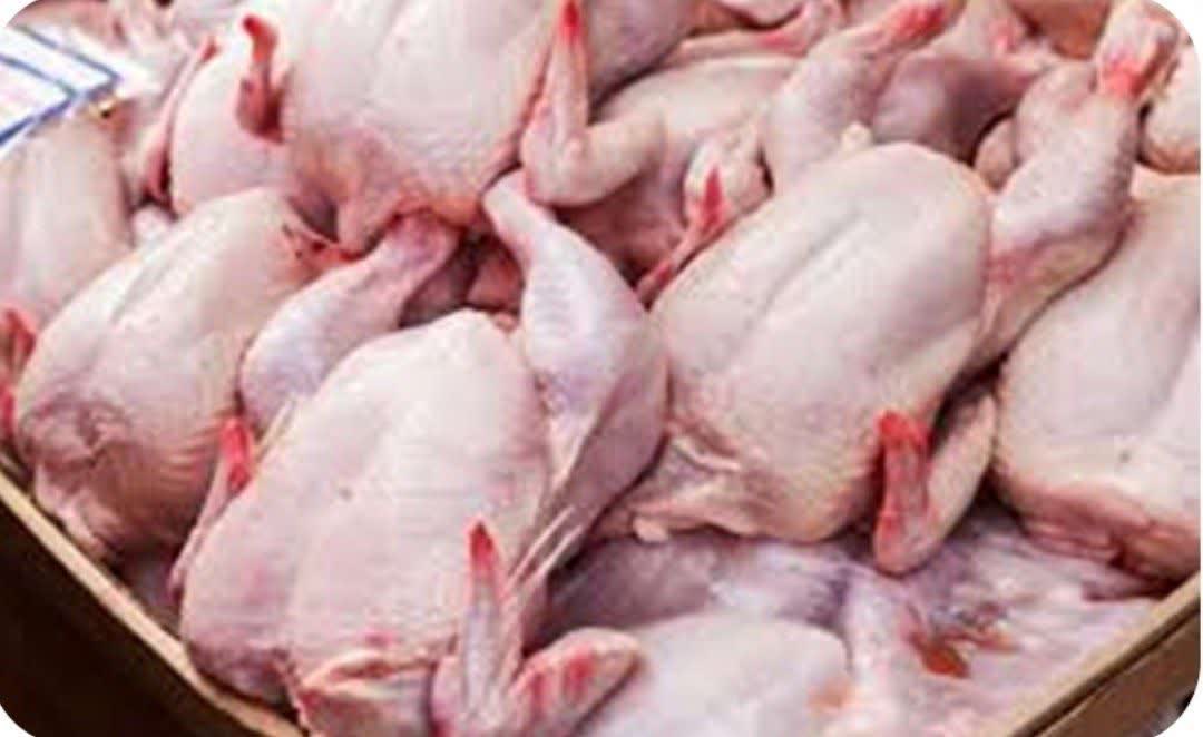 توزیع بیش از ۵۰۰ تن گوشت مرغ گرم در آذربایجان‌غربی؛ اطمینان از تامین پروتئین مردم در شرایط کنونی