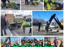 سبزینگی باغ‌شهر با گل‌های فصلی و نهال‌های جوان ادامه دارد