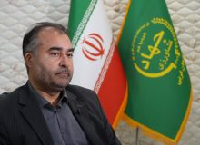 آغاز کشت‌های بهاره در آذربایجان غربی؛ تمرکز بر افزایش بهره‌وری مصرف آب و راندمان تولید